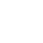 apindustriamantova