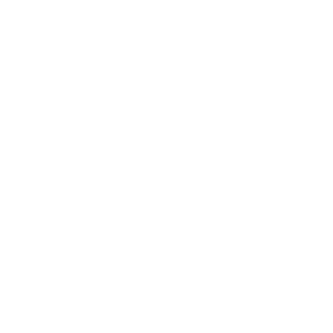 apindustriamantova