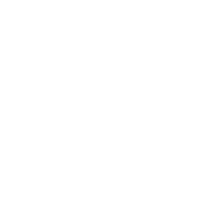 logo-verona-stone-district